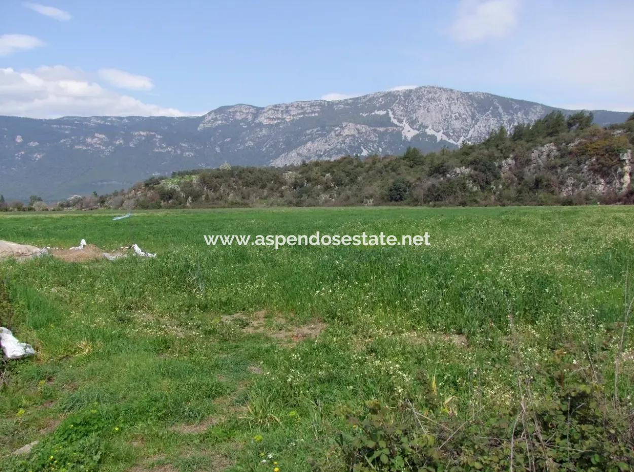 In Akyaka Zum Verkauf: Grundstück Zum Verkauf Bauernhof Zum Verkauf Einer Farm In Der Nähe Vom Meer, In Ars, Yatirimlik 21625M2