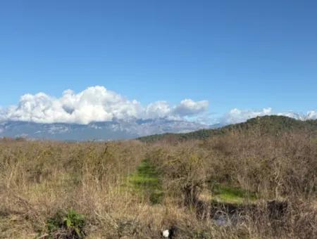 23.000M2 Freistehender Feldgarten Zum Verkauf In Tepearasin,