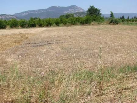 Grundstück Zum Verkauf An Der Ecke Von 540M2 In Okcular