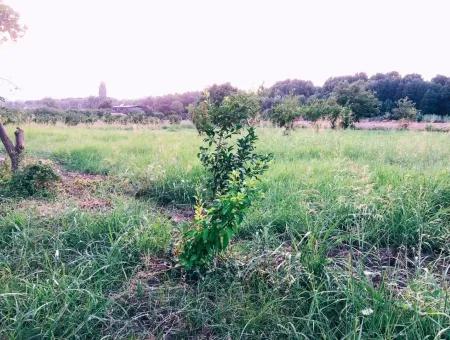 Archer In Die Bogenschützen Grundstück Zum Verkauf Zum Verkauf In Marmarli 1,500M2 Grundstück Zum Verkauf