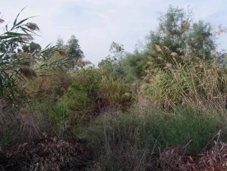 Grundstück Zum Verkauf In Dalyan Zum Verkauf In Dalyan-Kanal Null