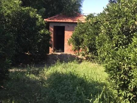 Garten Grundstück Mit Garten Zum Verkauf In Köyceğiz Zum Verkauf In Dogusbelen Dogusbelen Narenc