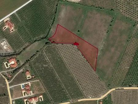 Maras In Dalyan Zum Verkauf In Dalyan 7300M2 %5 Grundstück Zum Verkauf