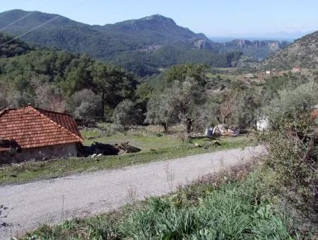 Landwirtschaftliche Grundstück Zum Verkauf Mit Meerblick Zum Verkauf In Gokbel