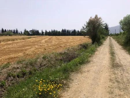 Ackerland Zum Verkauf 39 Hektar In Eskikoy