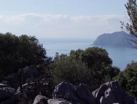 Çandır 5367M2 Farm Grundstück Zum Verkauf Mit Meerblick