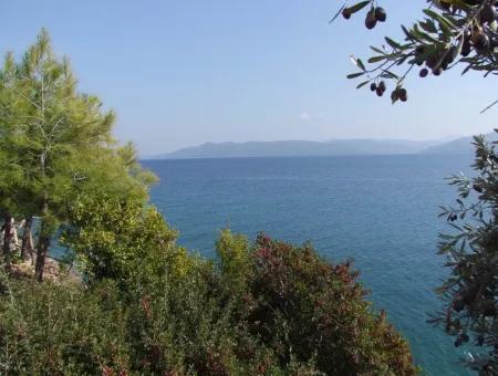 Beachfront Bungalow Zum Verkauf In Akbuk, Die Durch Das Meer Auf Einem Grundstück Von 800M2-Villa Zum Verkauf Turnalı