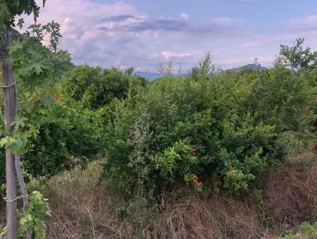 722M2 Grundstück Zum Verkauf In Dalyan Gülpınar Zum Verkauf