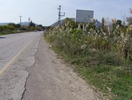 Grundstück Zu Verkaufen In Guzelyurt Land Zu Verkaufen Null 5515M2 Land Zum Verkauf An Der Hauptstraße