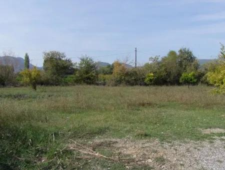 Grundstück Zu Verkaufen In Guzelyurt Land Zu Verkaufen Null 5515M2 Land Zum Verkauf An Der Hauptstraße