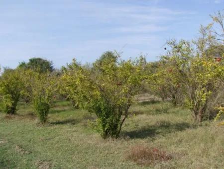 Güzelyurt Land Zu Verkaufen Dorf Gebaut 6670M2 Land Zum Verkauf