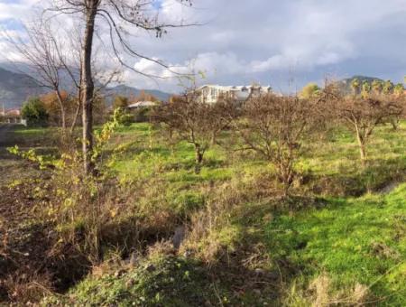 Dalyan Land Zu Verkaufen In Der Nähe Des Zentrums 3000M2 5% Zoning Land Zu Verkaufen