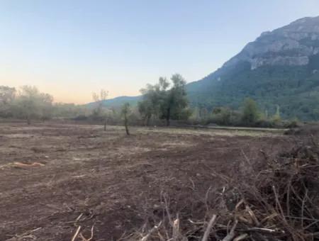 Sultaniye Land For Sale Near 10577M2 Lake Land For Sale