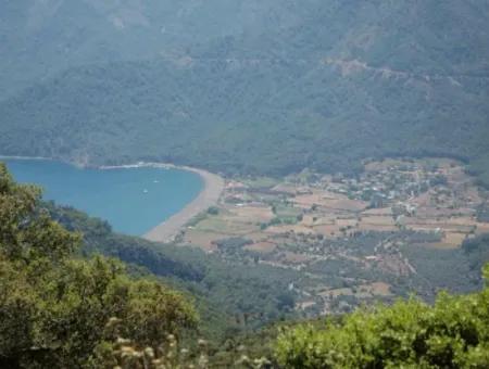 Ekincik Land Zu Verkaufen Ganz In Der Nähe Des Meeres 2000M2 Land Zu Verkaufen