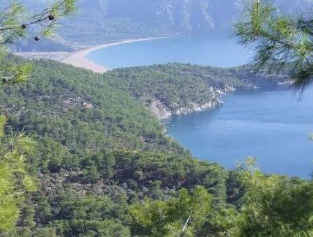 Immobilien-Schnäppchen-Grundstück Zu Verkaufen Mit Meerblick In Çandır Anruf In Ekincik