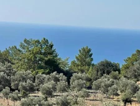 Feldgrundstück Zum Verkauf Mit Meerblick Von Çandir