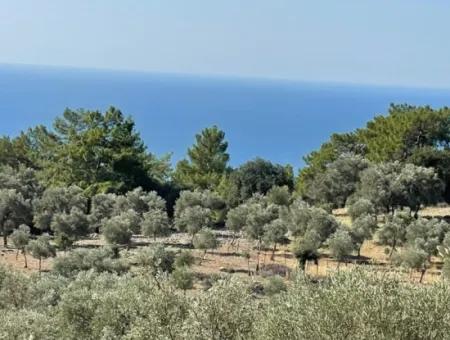 Feldgrundstück Zum Verkauf Mit Meerblick Von Çandir