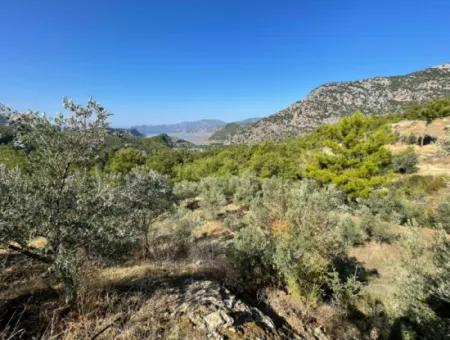 Gökbelde Voller Meerblick 3514M2 Grundstück Zum Verkauf