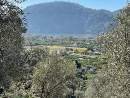 950M2 2B Feld Zum Verkauf Mit Meer- Und Seeblick In Çandır