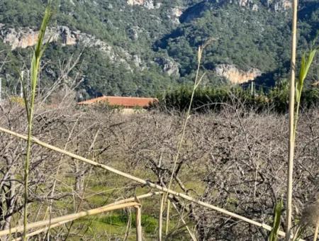 Dalyan Iztuzu Road Zero 5216M2 Feldgrundstück Zum Verkauf