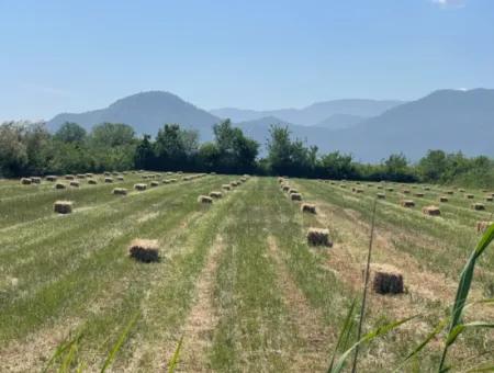 6.500 M2 Feld Zum Verkauf An Der Iztuzu-Straße In Dalyan