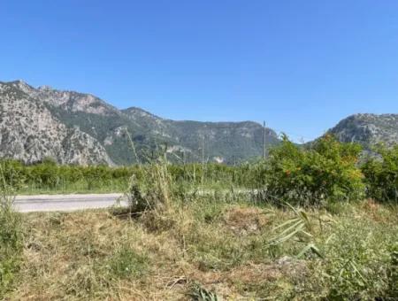 6.500 M2 Feld Zum Verkauf An Der Iztuzu-Straße In Dalyan