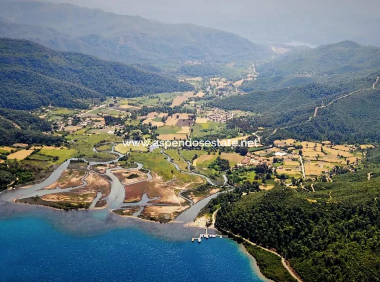 Land  For Sale Zero To Çamlı Canal 28768M2 Land For Sale With Sea View In Camlida