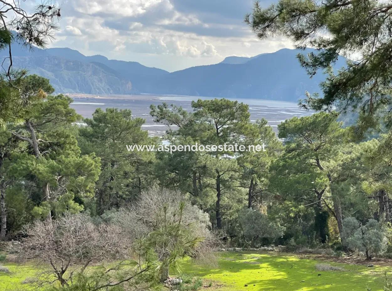 10,707M2 2B Field For Sale With Sea Lake View In Çandır