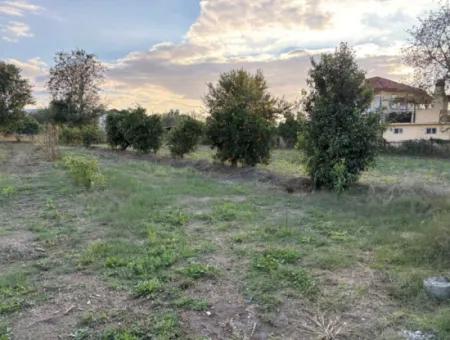 7,450M2 Land For Sale Close To The Center Of Dalyan