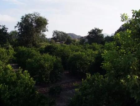 Near The Centre Of Dalyan In Dalyan Plot For Sale For Sale 987M2