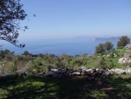 For Sale In Faralya Faralya With Sea View And 11,286M2 Land For Sale Tourism