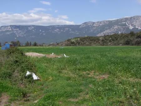 In Akyaka For Sale: Land For Sale Farm For Sale A Farm Near The Sea Of Ars, Yatirimlik 21625M2