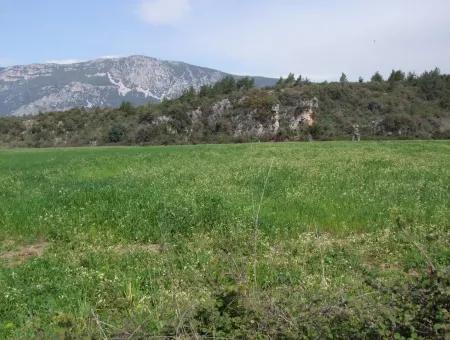 In Akyaka For Sale: Land For Sale Farm For Sale A Farm Near The Sea Of Ars, Yatirimlik 21625M2