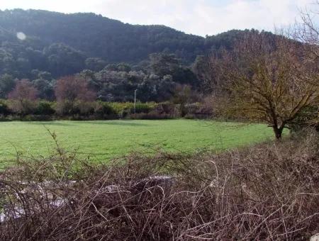 For Sale In Koycegiz, Dalyan Plot For Sale 10629M2