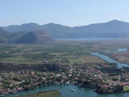 Maras In Dalyan For Sale Dalyan 7300M2 %5 Land Plot For Sale