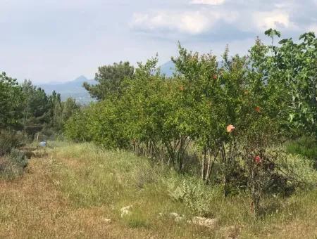 Land For Sale In Seydikemer Korubuku 76000M2