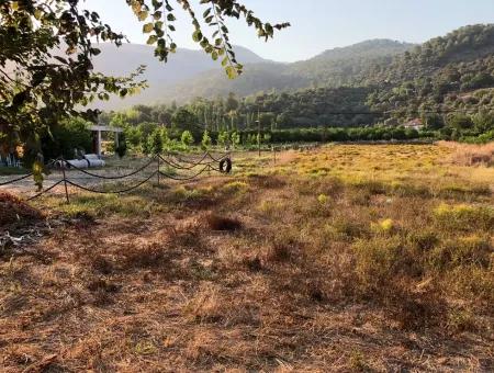 2300M2 Land For Sale Near The Center Of The Land For Sale