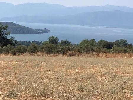 11.227M2 Land For Sale With Lake Views In Köyceğiz Zeytinalanı