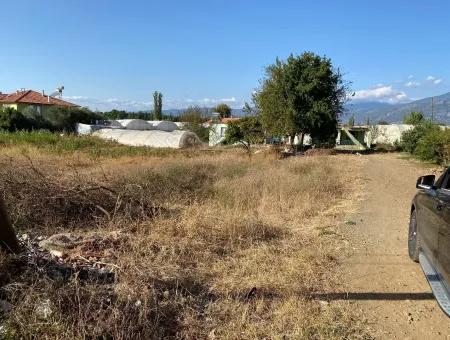 Land For Sale On 2506M2 Mainroa In Kavakarası