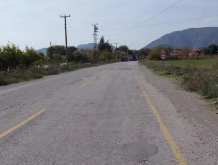 Land For Sale In Guzelyurt Land For Sale Zero 5515M2 Land For Sale On The Main Road