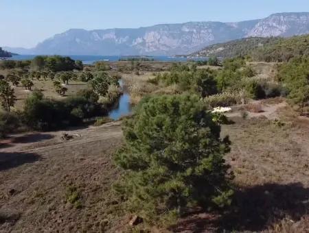 Land Land For Sale In Çamlıda Marmaris Çamlıda Sea View 11720M2 Land For Sale