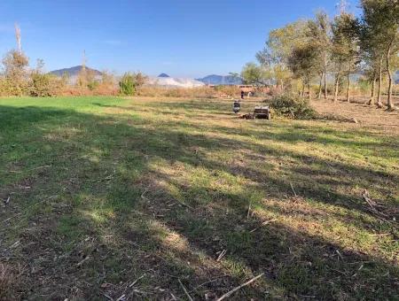 Land For Sale In Dalyan 2540M2