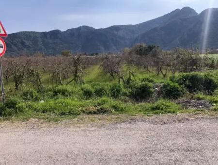 5500M2 Land For Sale In Dalyan