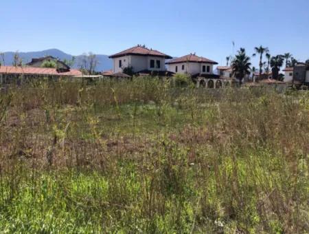 Land For Sale In Dalyan Gülpinar