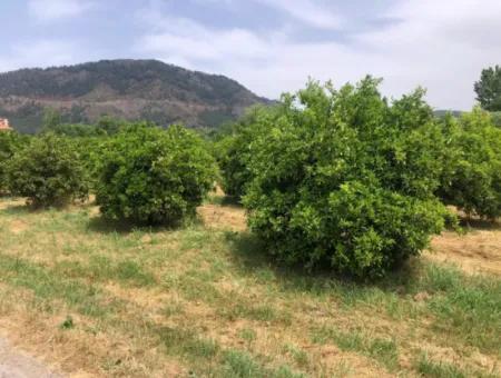 Land For Sale In Sourliyurtda 1085M2