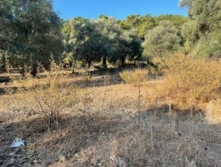 Çandir 3,800M2 Land For Sale