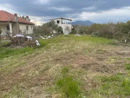 Village Houses For Sale In Kemalya 1880M2 Plot