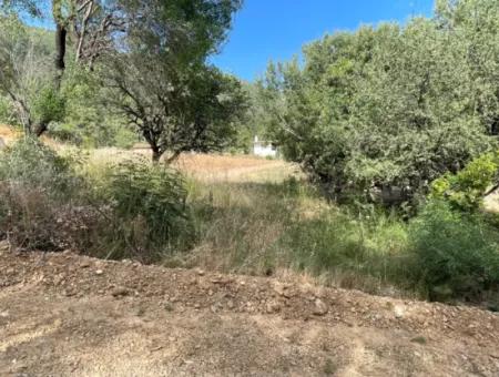 Land For Sale In Ula Armutchuk With 501M2 Zoning