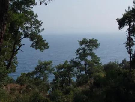 5000M2 Plot Of Land For Sale In Akyaka With Full Sea View House For Sale Kentucky