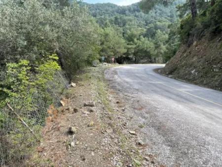 5000M2 Field For Sale At The Beginning Of The Road In Çandır